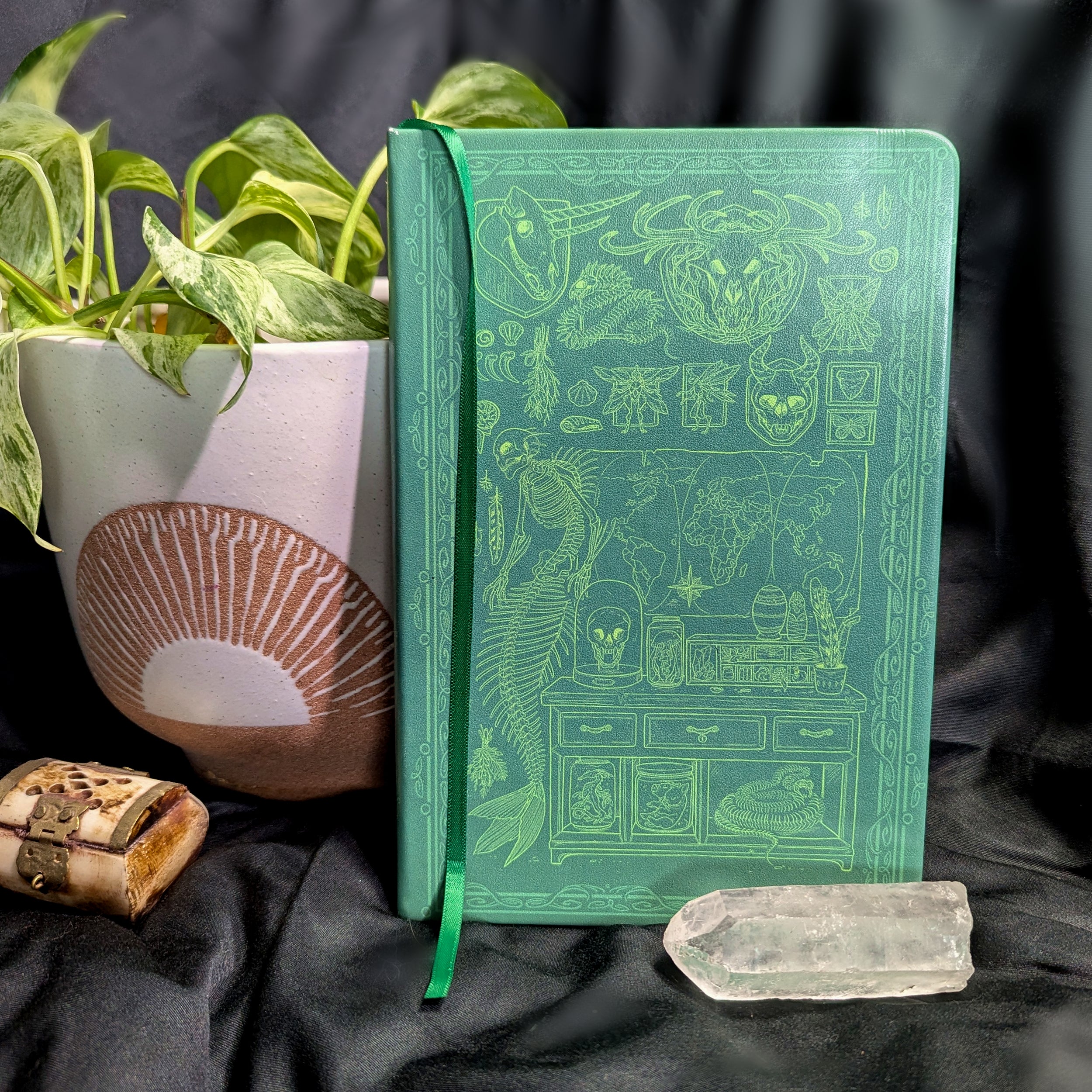 Curiosities - Journal (Dot Grid)