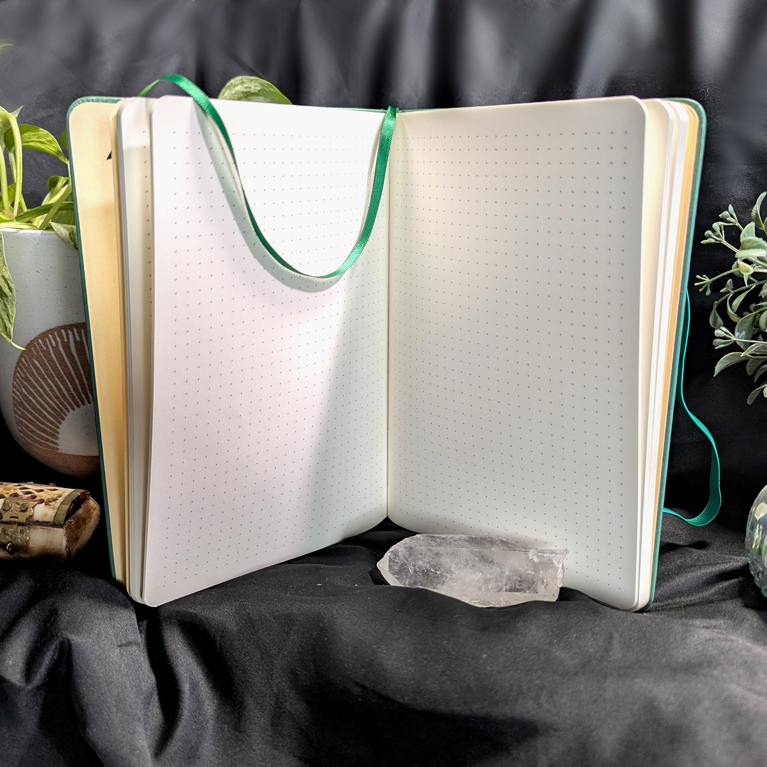 Curiosities - Journal (Dot Grid)