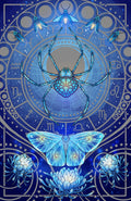 Midnight (Silver Foil)